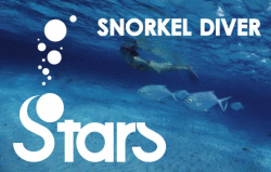 Snorkel Diver Course Completion