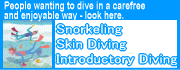 Snorkeling/Skin Diving/Introductory Diving