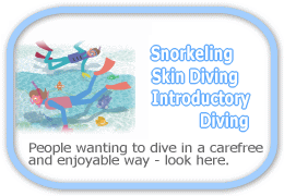 Snorkeling/Skin Diving/Introductory Diving