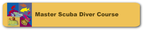 マスタースクーバダイバーコース