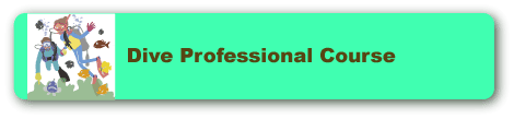 ダイブプロフェッショナルコース